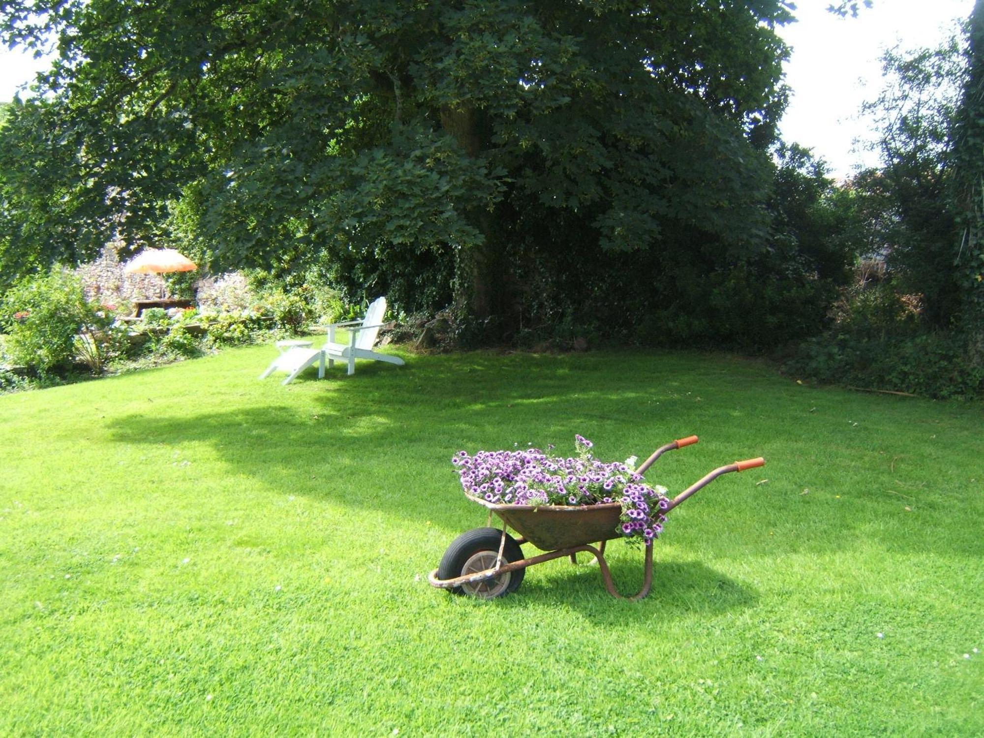 Faythe Guesthouse Wexford Exteriör bild